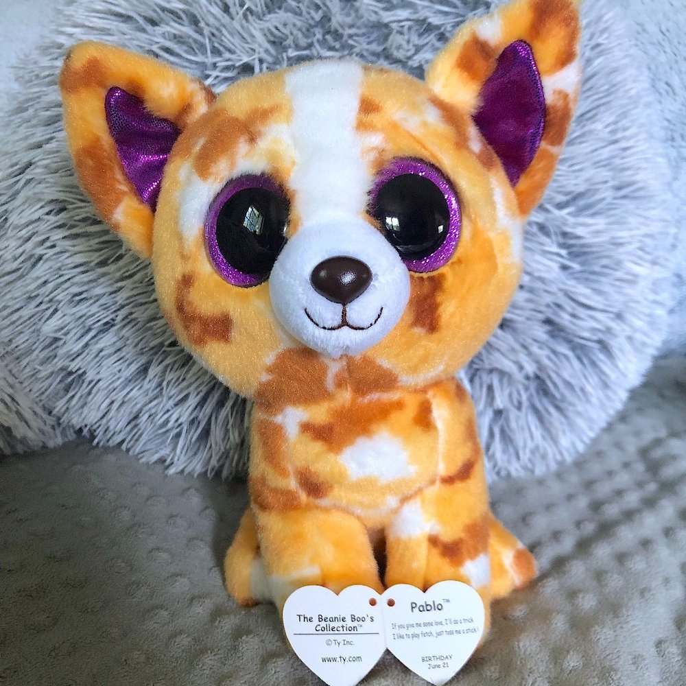 TY Beanie Boos 9" Dog: Pablo